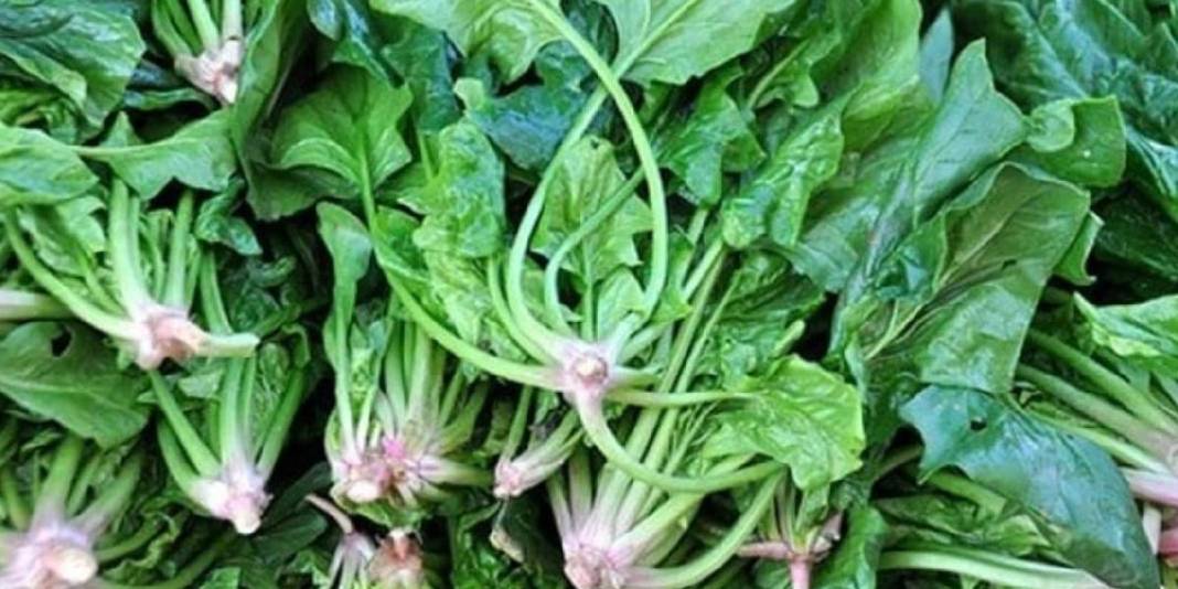 Pestisit nedir, tehlikeleri nelerdir? Kışın bu meyve ve sebzelere dikkat: Pestisit riski oldukça yüksek 6